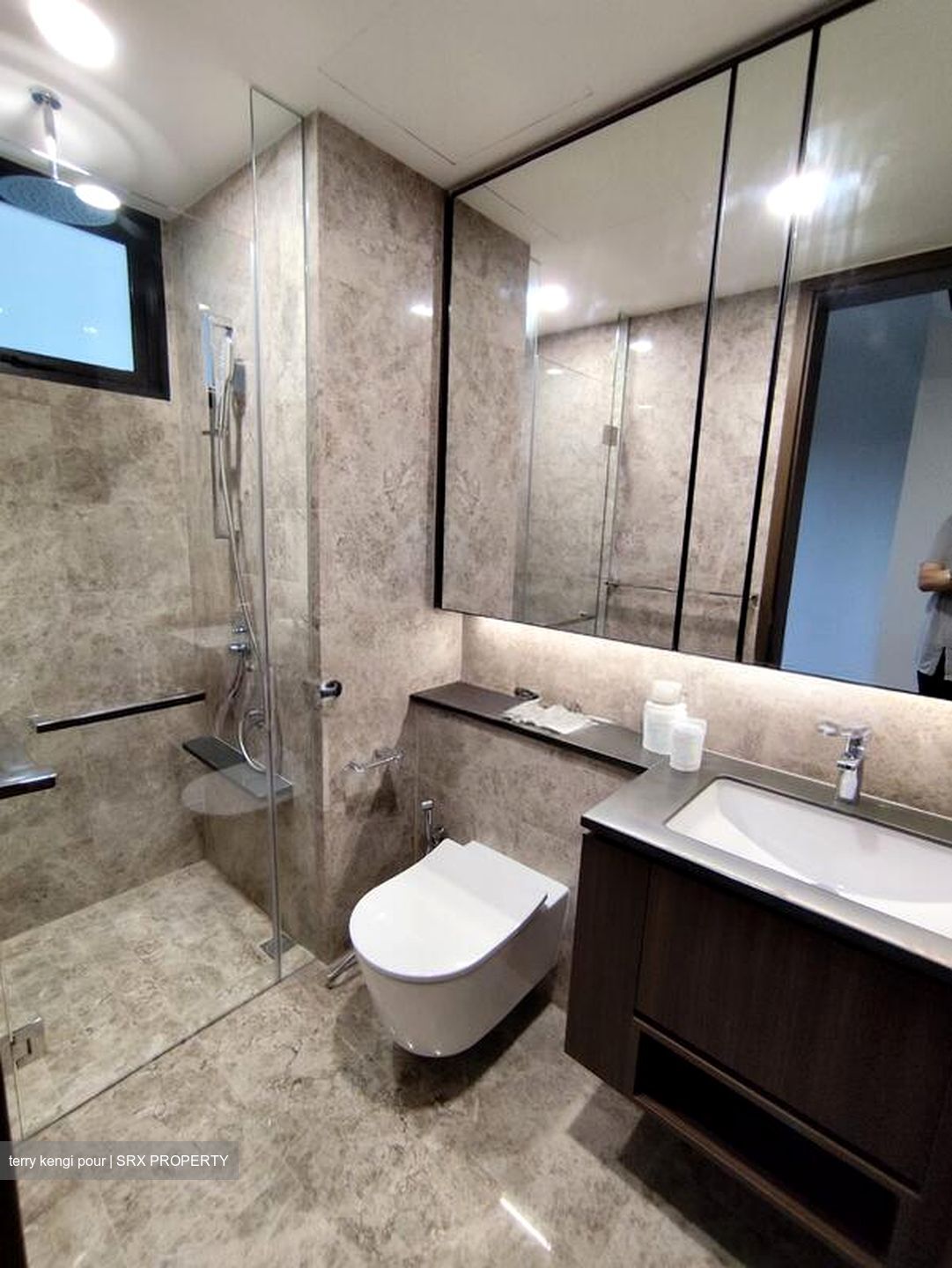 Kopar At Newton (D9), Apartment #519253181